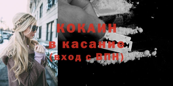 индика Алексин