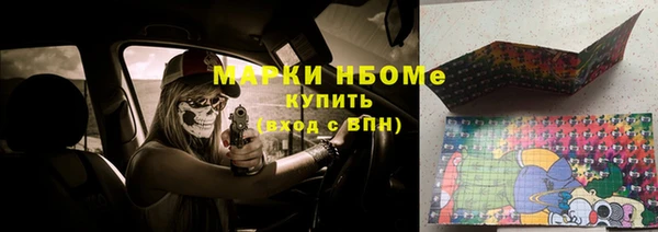 индика Алексин