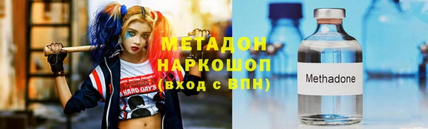 индика Алексин