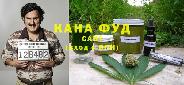 индика Алексин
