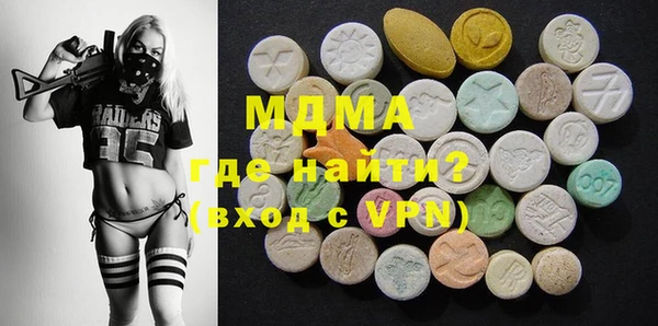 индика Алексин